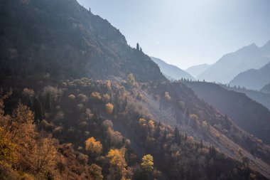 Renkli sonbahar dağlarında sisli bir şafak. Uzaktaki dağlar mavi bir sisle sıralanır.