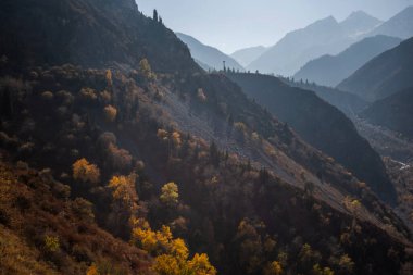 Renkli sonbahar dağlarında sisli bir şafak. Uzaktaki dağlar mavi bir sisle sıralanır.