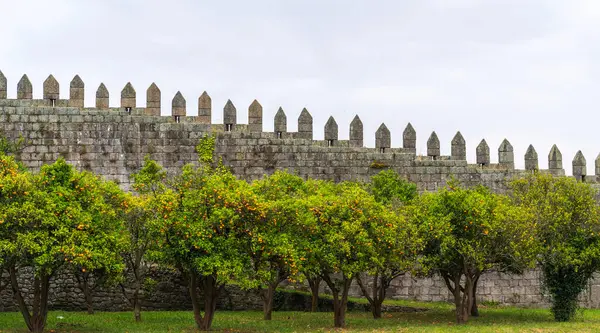 Die Fernandinha Mauer Mittelalterliche Mauer Mit Bäumen Und Wolkenverhangenem Himmel Stockbild