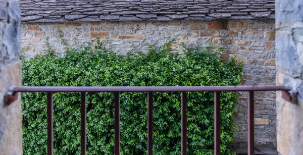 Вид Винтажного Окна Средневековую Каменную Стену Растениями Стоковое Фото