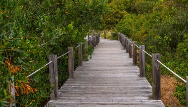 Atlantik Okyanusu kıyısındaki tahta patika. Yürüyüş için ideal. Hac yolu boyunca güzel bir manzara, Camino Portekizce, Portekizce.