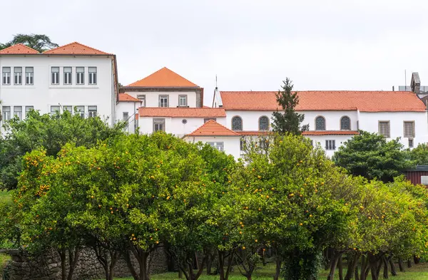 Историческое Здание Порту Португалия Фасад Дома Старого Исторического Здания Окнами Стоковая Картинка