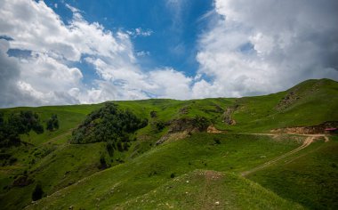 Küçük tepelerdeki yeşil çimenler ve bulutlu mavi gökyüzü.