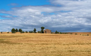 Altın buğdayının güzel manzarası İspanya 'nın kırsal bölgelerinde uçtu. Buğday tarlasıyla çevrili tipik bir kır evi manzarası.