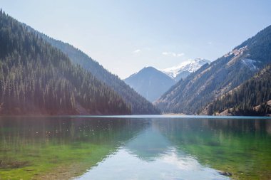 a serene alpine lake with crystal-clear waters reflecting the sky, bordered by dense coniferous forests and a backdrop of snow-dusted mountains under a blue sky