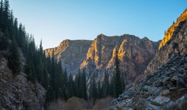 the golden light of sunrise or sunset on a rugged mountain range, with evergreens in the foreground and a clear blue sky above