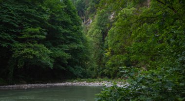 Natural background. View of nature against the background of green leaves. Picturesque mountain stream. Mountain river water landscape. Wild river in the mountains.