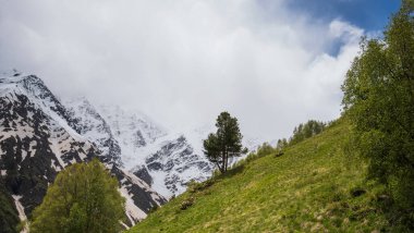 Yeşil ormanlık dağlar ve yüksek dağların etrafındaki karlar ve güzel bir gökyüzü bir yaz günü. Georgia.