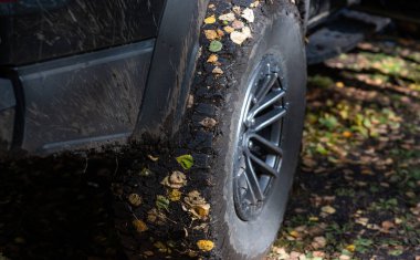 Sonbaharda ıslak off-road 'da tekerlekleri üzerinde yaprakları olan bir araba tekerleğinin yakın çekimi. Çimlerin üzerinde bir arabanın tekerlerinin altında sonbahar yaprakları.