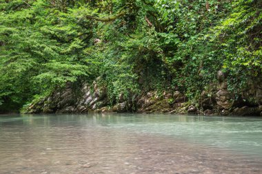 Güneydoğu Asya 'nın tropik ormanları. Yeşillik astropikal ormandaki temiz dağ deresi.