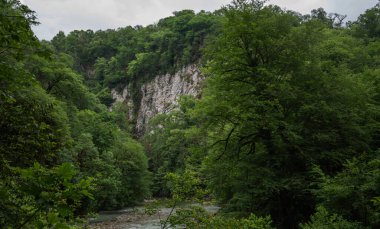 Güneydoğu Asya 'nın tropik ormanları. Yeşillik astropikal ormandaki kayalık dağ