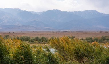 A lake with beautiful foggy weather and amazing autumn colors in the reeds surrounding the water and mountains in the distance.