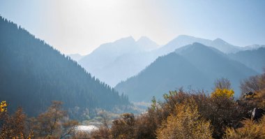 Dağlarda güzel bir sonbahar öğleden sonra. Sonbahar renklerinde bir tepenin kenarındaki ağaçlar. Güneşli bir akşamda harika bir kırsal..