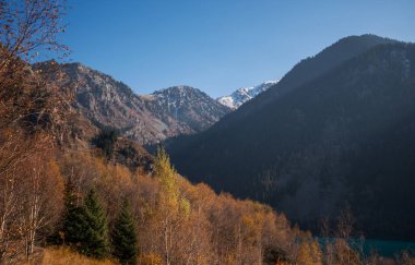 Dağlarda güzel bir sonbahar öğleden sonra. Sonbahar renklerinde bir tepenin kenarındaki ağaçlar. Güneşli bir akşamda harika bir kırsal..
