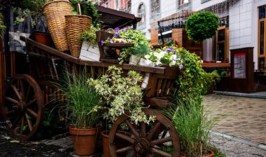 Bir dizi canlı çiçek ve bitki ile taşan taşralı ahşap arabalarla güçlendirilmiş, büyüleyici ve yeşil bir atmosfer yaratan tuhaf bir şehir geçidi..
