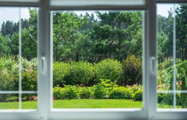 Through the panes of a window, reveals a meticulously cared for garden, resplendent with a variety of shrubs and blooming flowers, and flanked by tall trees, offering a slice of nature's tranquility. clipart