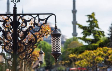Süslü demirden direkler ve tomurcuklanan ağaçlar tarihi bir caminin minaresi ve kubbesinin ikonik silueti ile bir yol çiziyor.