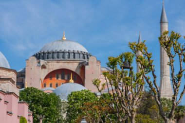 İstanbul 'daki Ayasofya, açık mavi gökyüzüne uzanan büyük kubbeleri ve minareleri ön plandaki narin bahar tomurcuklarıyla tamamlanmış.