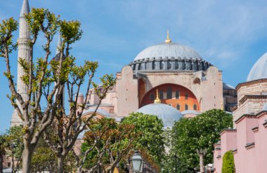 İstanbul 'daki Ayasofya, açık mavi gökyüzüne uzanan büyük kubbeleri ve minareleri ön plandaki narin bahar tomurcuklarıyla tamamlanmış.
