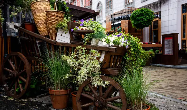 stock image a quaint urban alleyway enhanced with rustic wooden carts overflowing with an array of vibrant flowers and plants, creating a charming and green atmosphere.