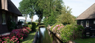 Bereketli ortanca çalıları tarafından kuşatılmış, her iki tarafında sazdan çatı evleri olan, berrak mavi bir gökyüzünün altında...