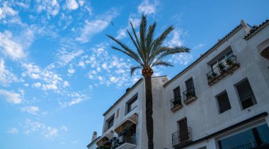 Tek bir palmiye ağacı Akdeniz tarzı bir binaya karşı dimdik duruyor. Gökyüzünün altında beyaz bulutlarla dağılmış balkonları var..