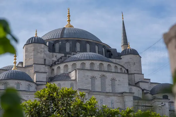 Bir cami kubbesinin ve minarelerinin sonsuz zarafeti, altın kaplamalarla bezenmiş, ön planda yeşil yapraklar olan yumuşak mavi bir gökyüzüne karşı..