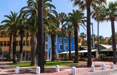 Sakin, güneşli bir sahil şeridine kurulmuş, çarpan duvarı olan bir binaya uzanan yemyeşil bir palmiye yolu..