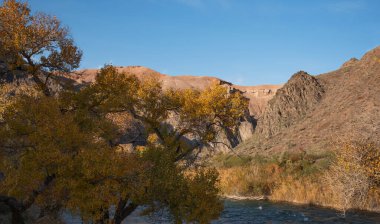 Amber foliage frames a mountains river, meandering at the foot of towering, rugged cliffs under the gentle embrace of a clear azure sky. clipart