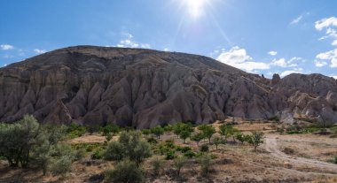 Öğleden sonra güneş, Cappadocia 'nın Gül Vadisi' nde kızarık tonlu kaya oluşumlarını ve zeytin ağaçlarını aydınlatarak bölgenin eşsiz erozyonu ve insanlık tarihinin bir kanıtı olarak parlıyor..