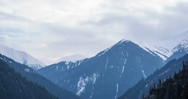 stock image majestic snow-capped mountains rising above a dense coniferous forest, with the overcast sky suggesting the quiet cold of a winter or late autumn season in a high alpine environment