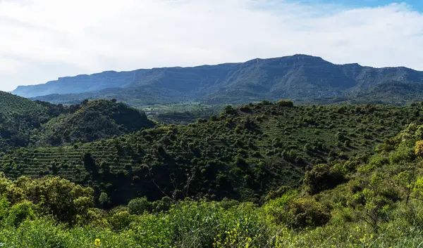 stock image Gentle slopes blanketed with vibrant green shrubbery ascend to a majestic plateau, contrasting with the hazy blue sky in this tranquil landscape.