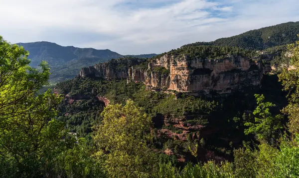 stock image Majestic cliffs rise like ancient citadels, crowned with verdant forest, standing guard over the valley's lush carpet of trees under a serene sky.