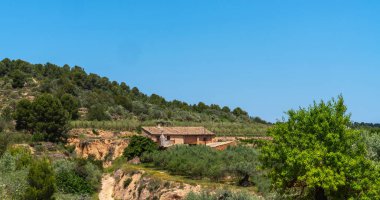 Terakotta çatılı bir evi olan kırsal bir arazi, açık mavi bir gökyüzünün altında yemyeşil ağaçların ve çalılıkların arasına yerleşmiş. Arazi Akdeniz çevresinin tepe noktasıdır..