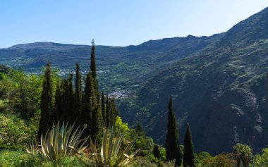 Berrak mavi bir gökyüzünün altında selvi ağaçları ve agave bitkileriyle dağlık bir manzaranın manzarası.