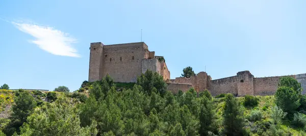 stock image Majestic medieval castle standing atop a hill, surrounded by a lush forest under a bright blue sky with wispy clouds, evoking historical grandeur