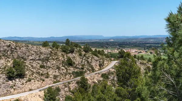 stock image Serpentine road winds through rugged terrain, with lush pines framing a stunning view of vast green plains and distant mountains under the clear blue sky