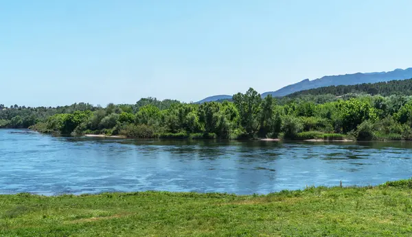 stock image A tranquil riverside scene with lush green grass in the foreground, calm waters and a dense line of trees leading to distant mountains under a clear blue sky.