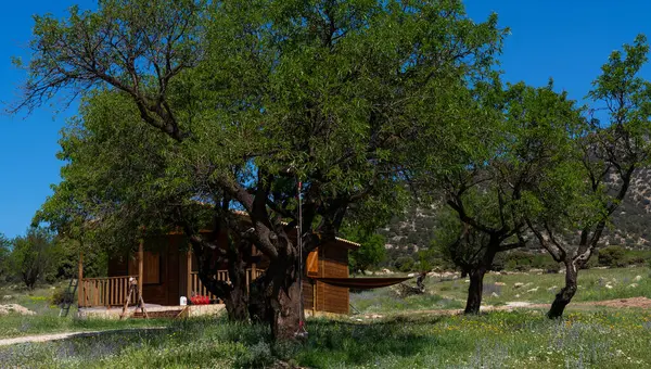 stock image A wooden cabin rests in a tranquil field, sheltered by a robust tree, with hammocks swaying in the gentle breeze, set against a backdrop of rolling hills and a clear sky.