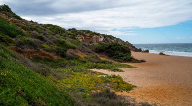 A natural coastal landscape with a sandy beach nestled against rugged cliffs and diverse coastal vegetation under a vast sky, epitomizing a serene seaside escape clipart