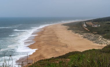 a dramatic coastline with a sprawling sandy beach, wild ocean waves, and a backdrop of wind turbines on the horizon, showcasing a blend of natural beauty and renewable energy. clipart