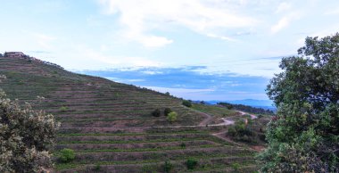 eğimli bir yamaçta teraslı üzüm bağları, virajlı toprak bir yol ve yumuşak bir alacakaranlık gökyüzünün altında uzak dağlardan oluşan bir zemin.