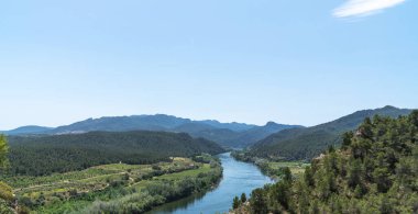 Serene river winding through a verdant valley flanked by rolling hills and lush forests under a clear blue sky, showcasing nature's tranquility clipart