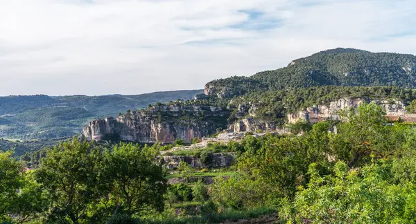 stock image the view stretches across undulating hills cloaked in lush greenery, with a clear sky overhead, epitomizing the serene grandeur of rural landscapes.