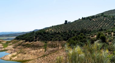 Yaban otlarının ön planına sahip katmanlı bir manzara, bir rezervuar kenarı, zeytin ağaçlarıyla kaplı tepeler, ve uçsuz bucaksız gökyüzünün altında ıssız bir bina.