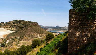 a lush Mediterranean landscape with a historic stone wall, undulating hills of olive trees, and a lake nestled among the valleys, under a vast blue sky. clipart