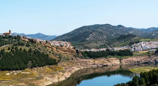 Stock image a sweeping vista of a Spanish village perched on a hillside, overlooking a reservoir, with vast olive groves stretching into the distance under a bright blue sky