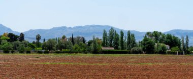 İspanya 'nın kırsal kesiminin sakin bir görüntüsü, verimli ağaçlara ve tuhaf bir çiftlik evine giden tarlalı kırmızı toprak tarlaları gösteriyor. Açık mavi gökyüzünün altındaki uzak dağlar.