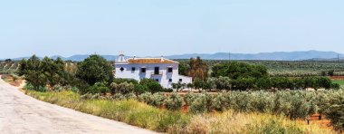 Açık mavi bir gökyüzünün altında, zeytin ağaçları ve tarlalarla çevrili, terakotta çatısı olan geleneksel bir beyaz çiftlik evinin yer aldığı manzaralı bir kırsal alan. Yuvarlanan tepeler ve uzak rüzgar türbinleri.