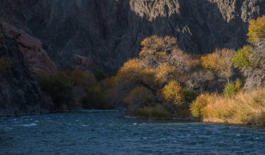Kehribar yaprakları bir dağ nehrinin kenarını sarar, yükselen tepenin eteklerinde, engebeli uçurumların altında berrak, masmavi bir gökyüzünün altında..